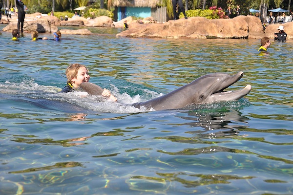 IMG00041 (02-15-2015 11:12)