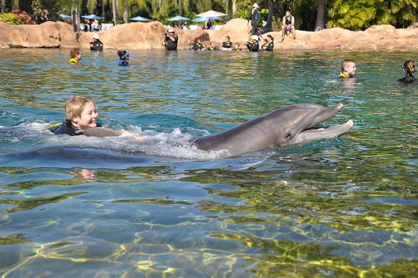 IMG00042 (02-15-2015 11:12)