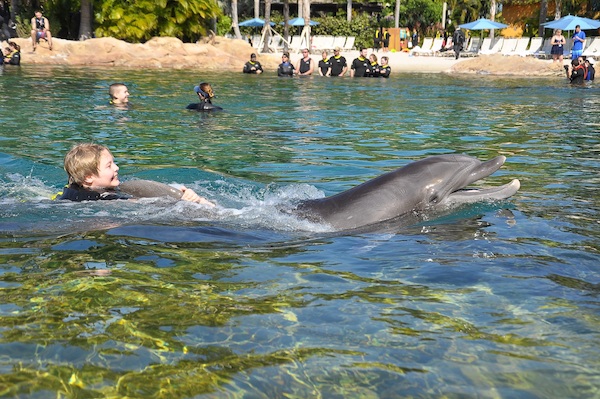 IMG00043 (02-15-2015 11:12)