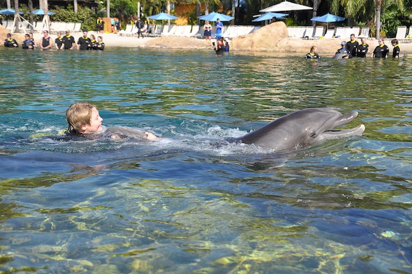 IMG00044 (02-15-2015 11:12)