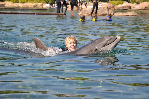 IMG00050 (02-15-2015 11:16)