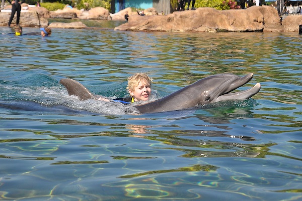 IMG00051 (02-15-2015 11:16)