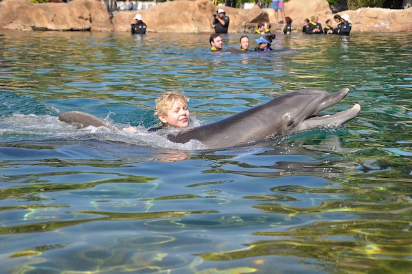 IMG00052 (02-15-2015 11:16)