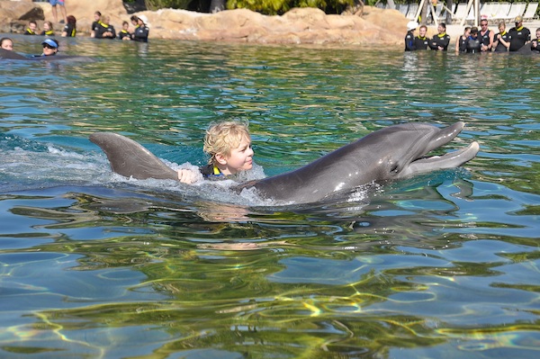 IMG00053 (02-15-2015 11:16)