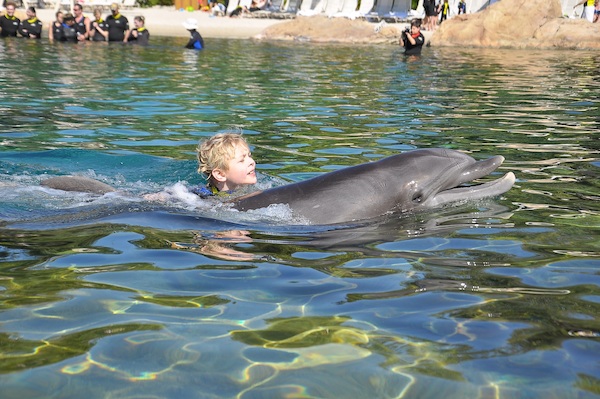 IMG00054 (02-15-2015 11:16)