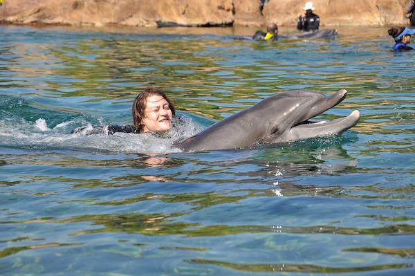 IMG00056 (02-15-2015 11:17)