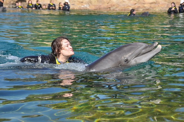 IMG00057 (02-15-2015 11:17)