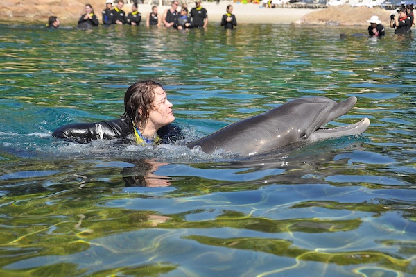 IMG00058 (02-15-2015 11:17)