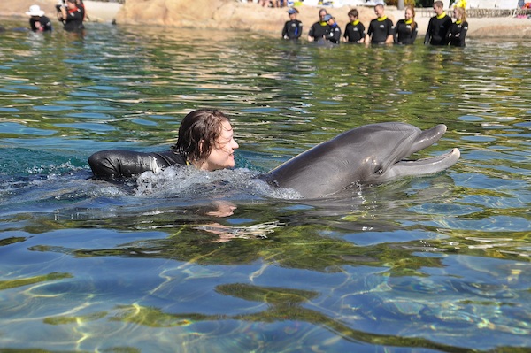 IMG00059 (02-15-2015 11:17)