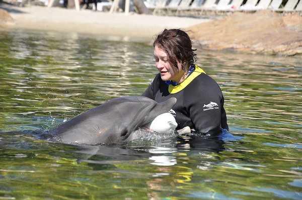 IMG00067 (02-15-2015 11:27)