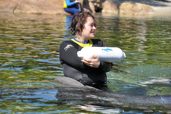 IMG00074 (02-15-2015 11:27)