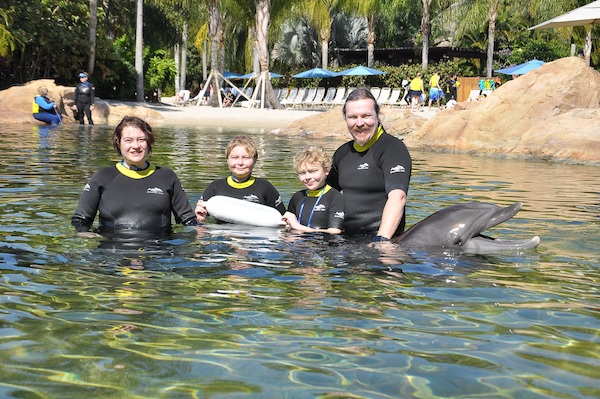 IMG00078 (02-15-2015 11:28)