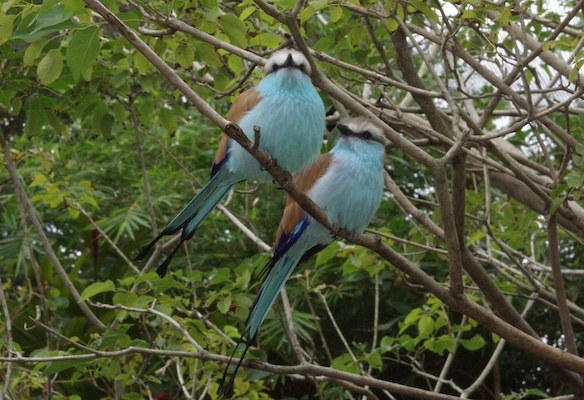 Stock Photo 03 (02-25-2015 19:41)