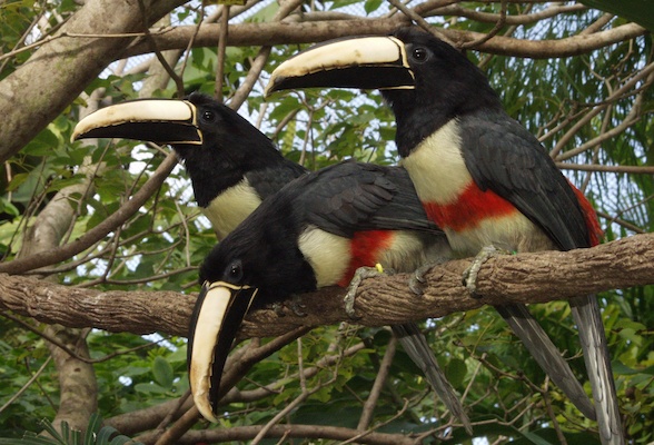 Stock Photo 04 (02-25-2015 19:41)