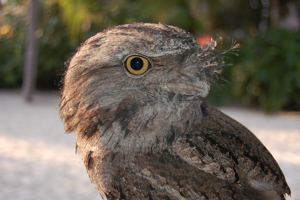 Stock Photo 05 (02-25-2015 19:41)