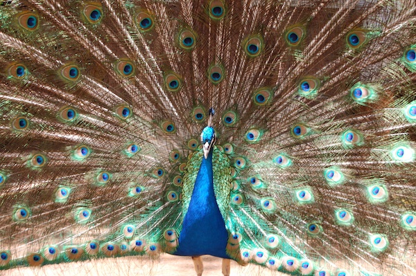 Stock Photo 06 (02-25-2015 19:41)