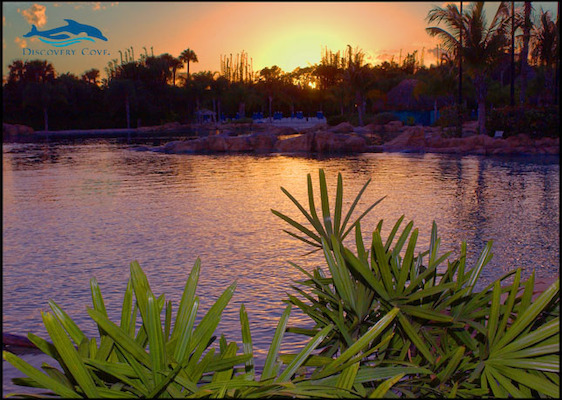 Stock Photo 07 (04-01-2004 09:11)