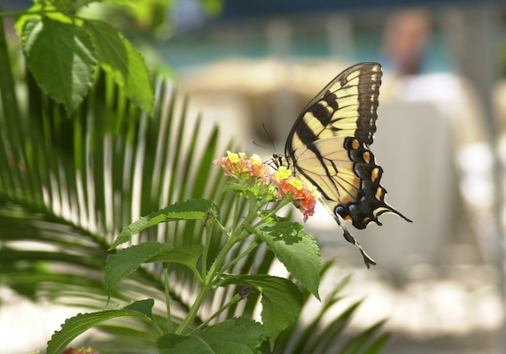 Stock Photo 09 (09-09-1999 01:30)