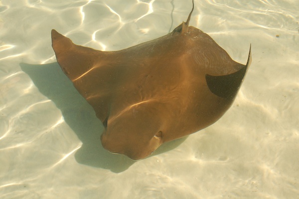 Stock Photo 12 (02-25-2015 19:42)