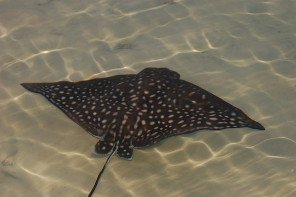 Stock Photo 13 (02-25-2015 19:42)