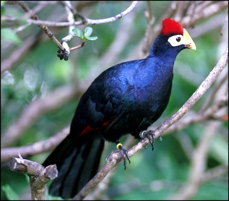 Stock Photo 14 (02-25-2015 19:42)