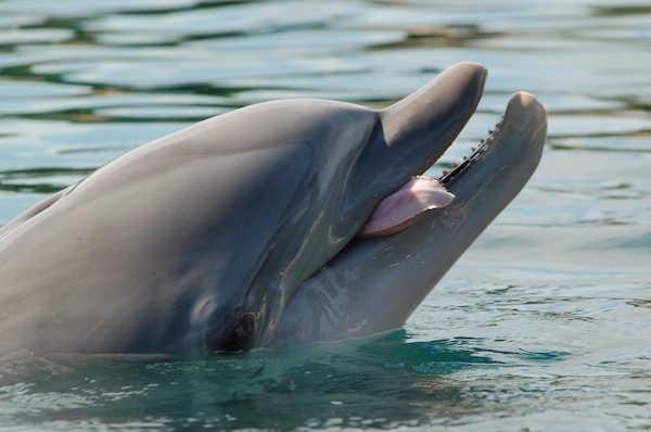 Stock Photo 19 (02-25-2015 19:42)