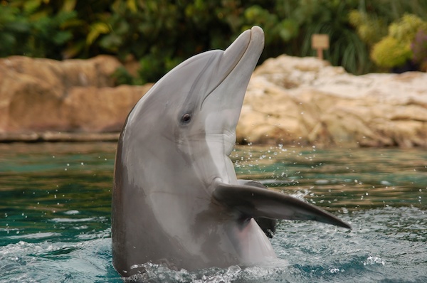 Stock Photo 20 (02-25-2015 19:42)