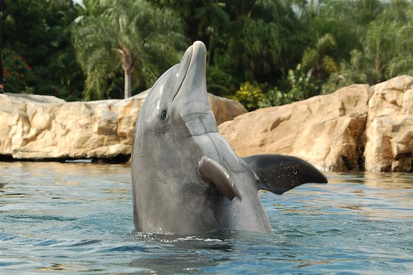 Stock Photo 22 (02-25-2015 19:42)