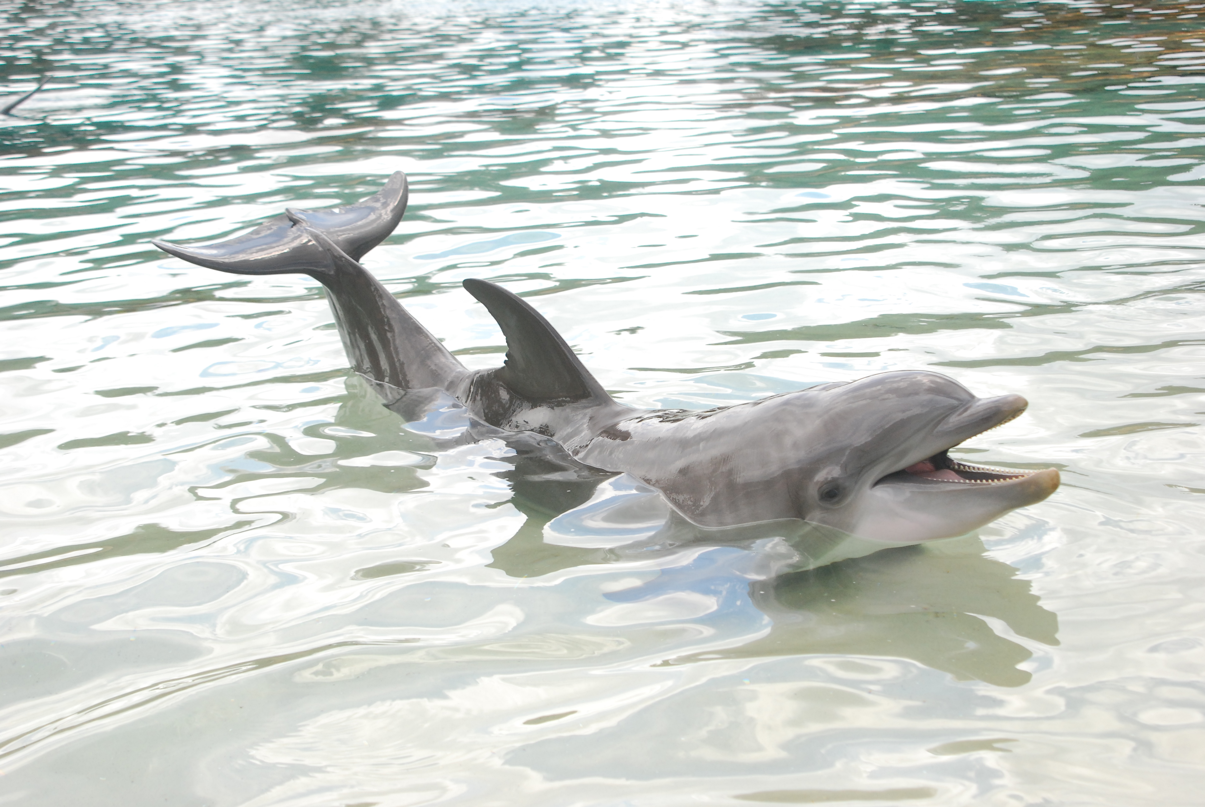 Stock Photo 10 (09-08-2007 12:58)