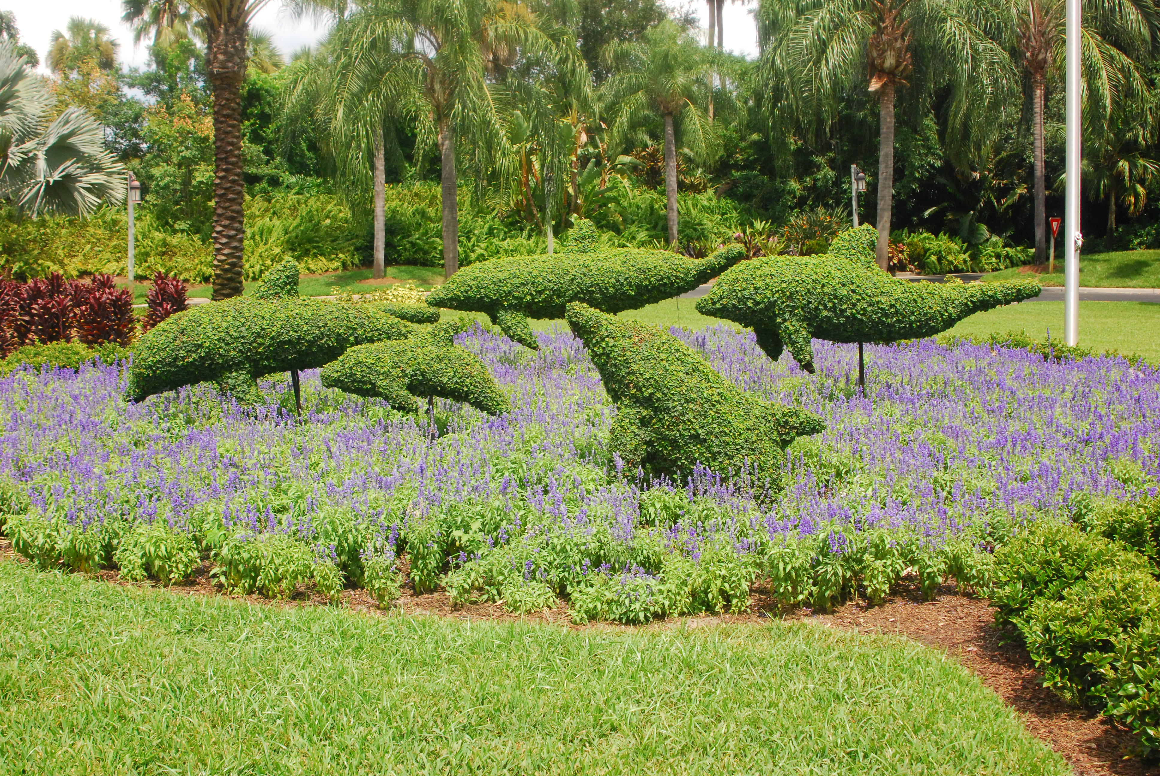 Stock Photo 24 (09-08-2007 13:52)