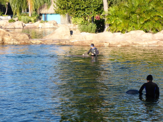 P1010326 (02-15-2015 08:21)