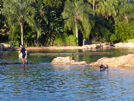 P1010327 (02-15-2015 08:21)