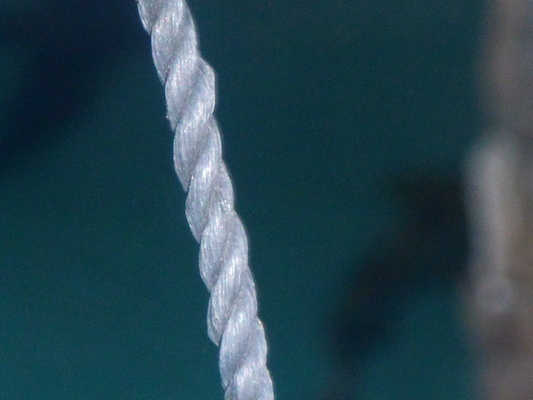 P1010328 (02-15-2015 09:40)