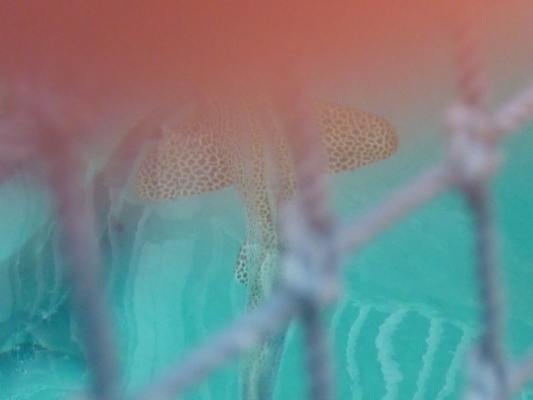 P1010332 (02-15-2015 09:44)