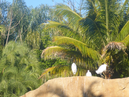 P1010337 (02-15-2015 08:48)