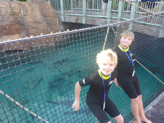 P1010338 (02-15-2015 08:48)