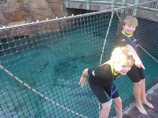 P1010340 (02-15-2015 08:49)