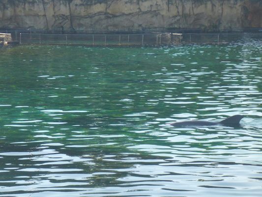 P1010341 (02-15-2015 08:54)