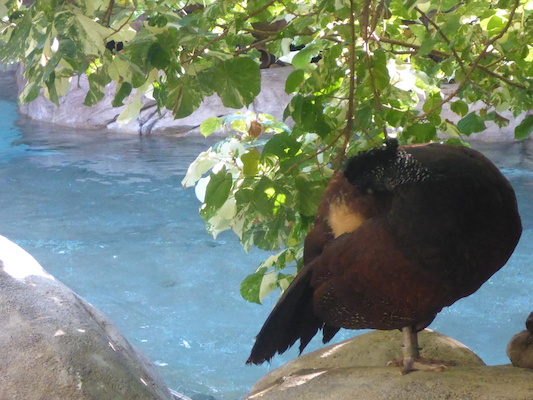 P1010344 (02-15-2015 09:05)