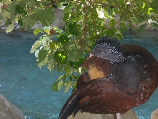 P1010345 (02-15-2015 09:06)