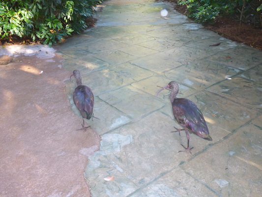 P1010347 (02-15-2015 09:06)