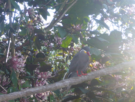 P1010348 (02-15-2015 09:06)