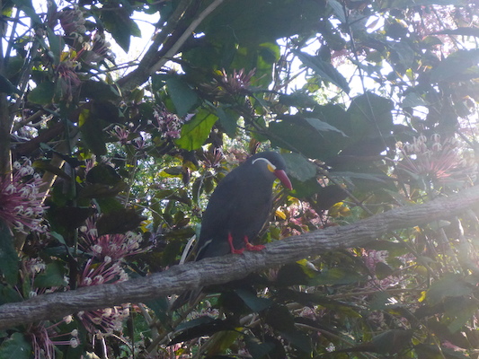 P1010349 (02-15-2015 09:07)