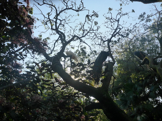 P1010350 (02-15-2015 09:07)