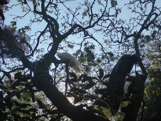 P1010352 (02-15-2015 09:07)