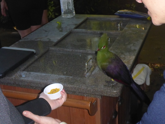 P1010354 (02-15-2015 09:08)