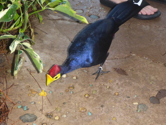 P1010355 (02-15-2015 09:08)