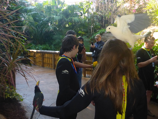 P1010356 (02-15-2015 09:08)