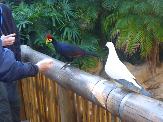 P1010357 (02-15-2015 09:08)