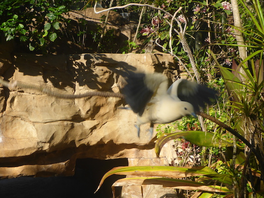 P1010358 (02-15-2015 09:09)